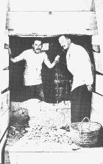 Howard Carter and Assoc